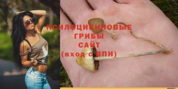 скорость Балахна