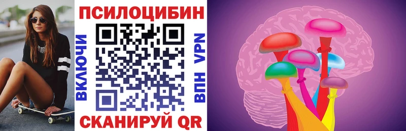 Псилоцибиновые грибы Psilocybe  как найти наркотики  Белинский 